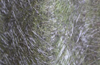 Selsey fibreglass roof work